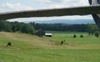 Roulette Farm