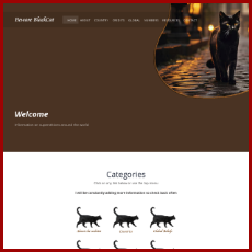 Blackcat pic